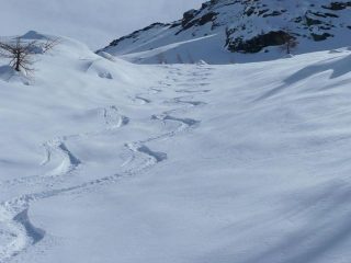 Farina intOOnsa nella parte alta  ;-)