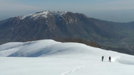 sulla dorsale