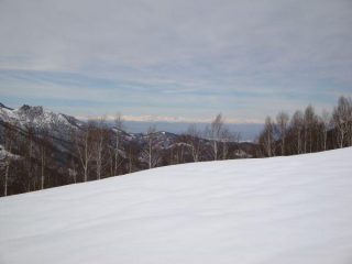 Da Cascina S.Michele, vista verso Nord