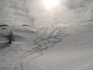 Tracce su farina
