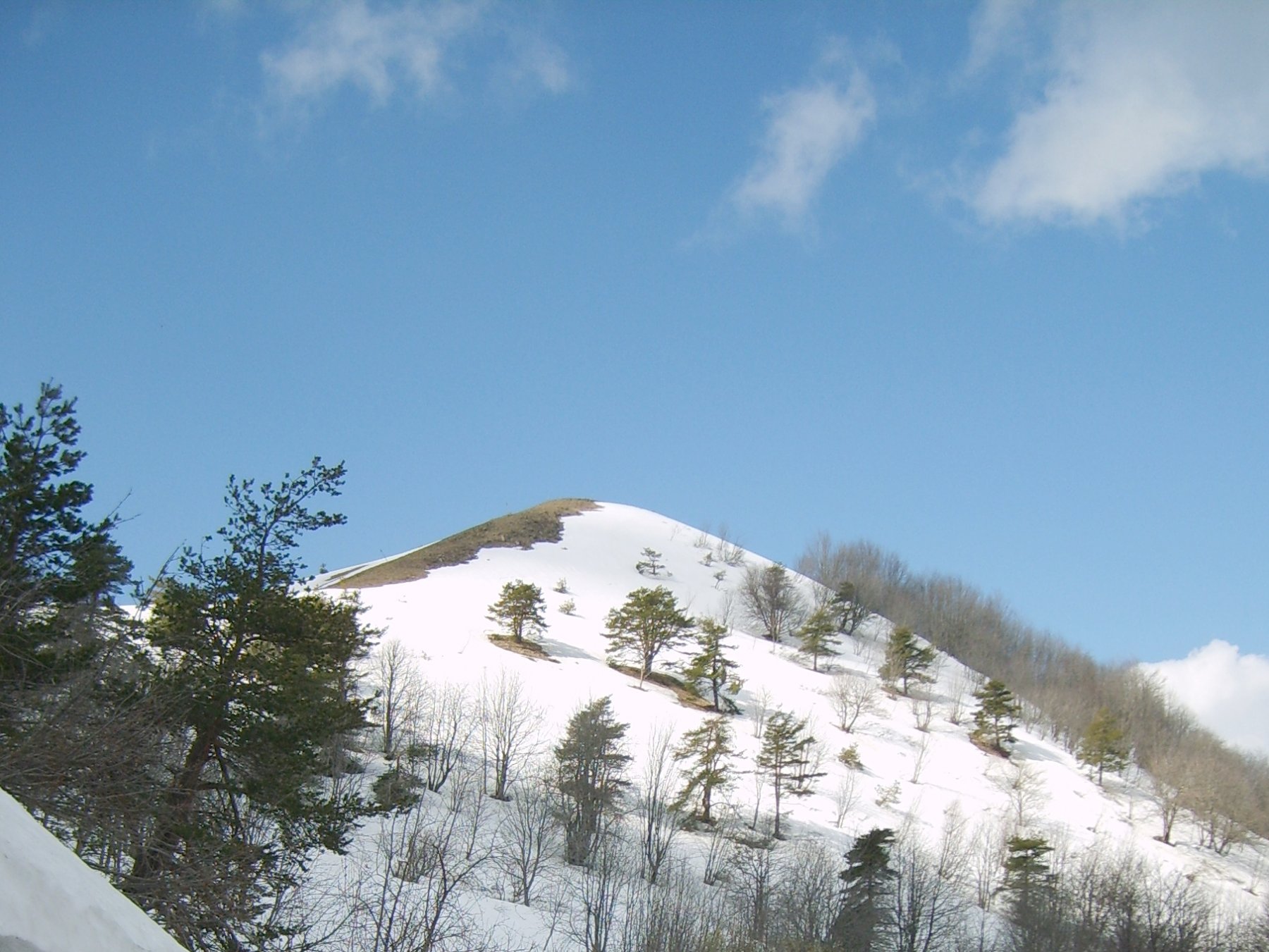 Verso l' anticima del Monte Ceppo