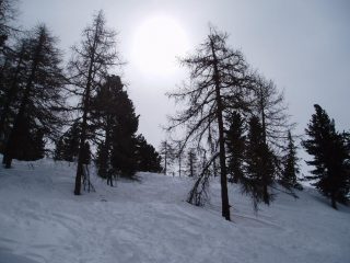 il pendio arato e gelato