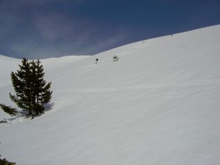 tutto splendido firn