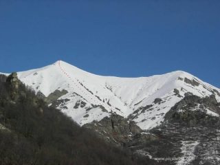 il Cugno