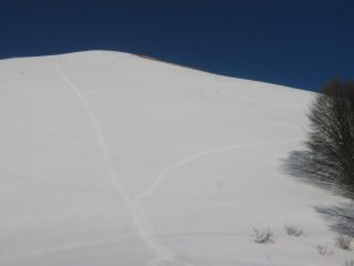 Vie di salita e discesa dal Carevolo