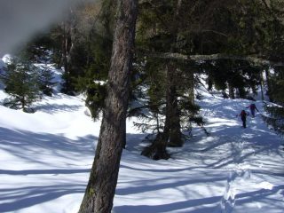 Salendo alla Croce di fana