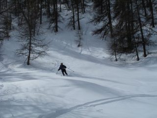 Farina nel bosco III