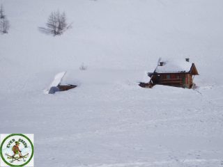 baite immerse nella neve