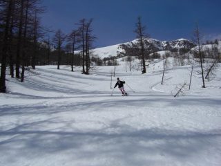 in discesa nel bosco della Valauretta