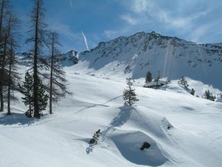 l'uscita dal bosco