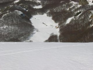 Il Prato della Cipolla