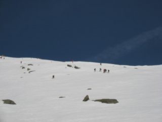 EVER GREEN IN DISCESA