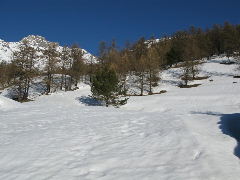Inizio del ripido bosco