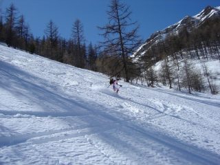 Tratti di farina nel bosco