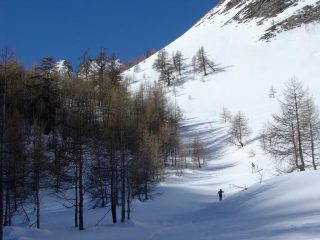 Si lascia il bosco e i pendii si aprono