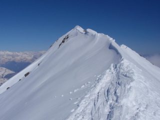 Affilatissima cresta