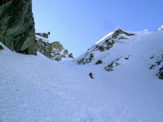 Paolo impegnato al cospetto del bonsai