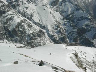 la spalla sospesa