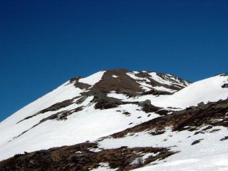 la punta spelacchiata