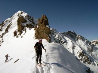 Michelino al colletto 2552