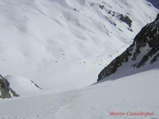 conoide finale