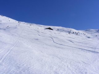 Ampi pendii fuori dal bosco