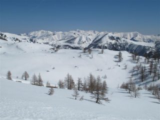 Uno sguardo verso le liguri