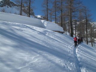 Nel bosco e il rifugio