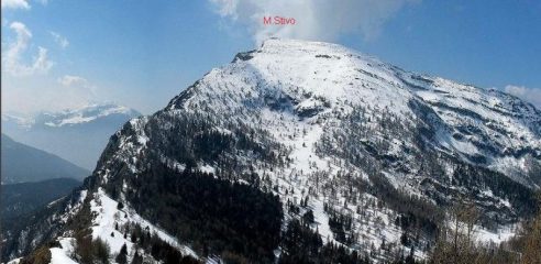 M.Stivo