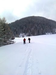 Anello di fondo a Trivigno