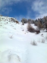 Finalmente si sale verso il Padrio