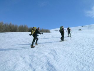 Di fianco alla pineta
