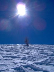 Controluce in discesa