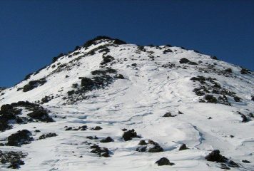 la cresta spelacchiata