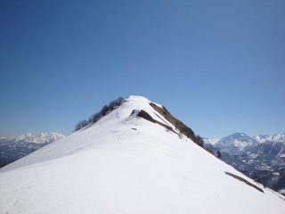 Tagliarè