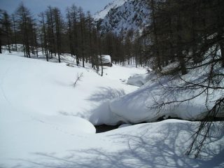 Ad Engiloch lungo il torrente...