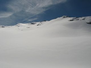 tutto vergine