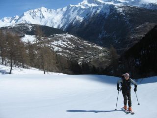 All'uscita del bosco
