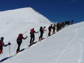 colonie di pinguini ?