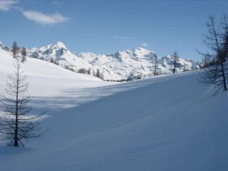 Panorama versi l'Arbola