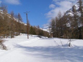 La prima parte lungo la pista battuta dal gatto