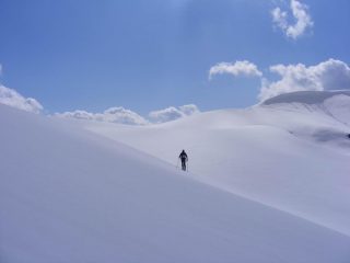 Verso l'Avaro