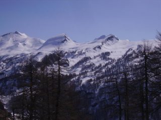 foto fatta il giorno dopo..