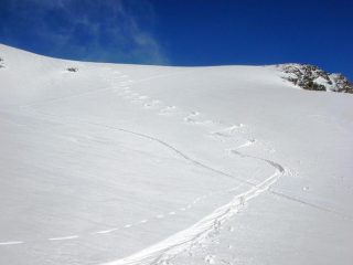 In discesa è uno spettacolo.....