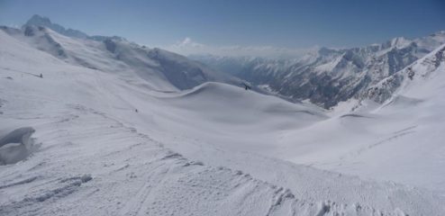 dal colle