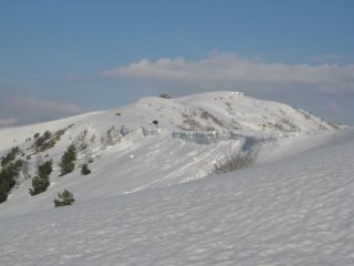La lunga dorsale