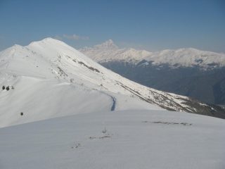 Vista