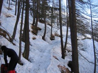 Il sentiero scarsamente innevato ma mooooolto ghiacciato