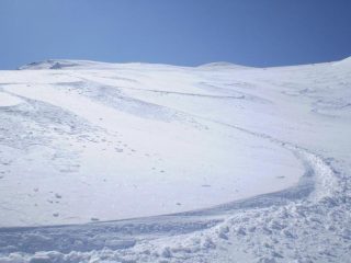 Curvette in farina...