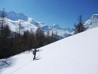 appena fuori dal bosco